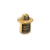 Termostat YAMAHA AM6